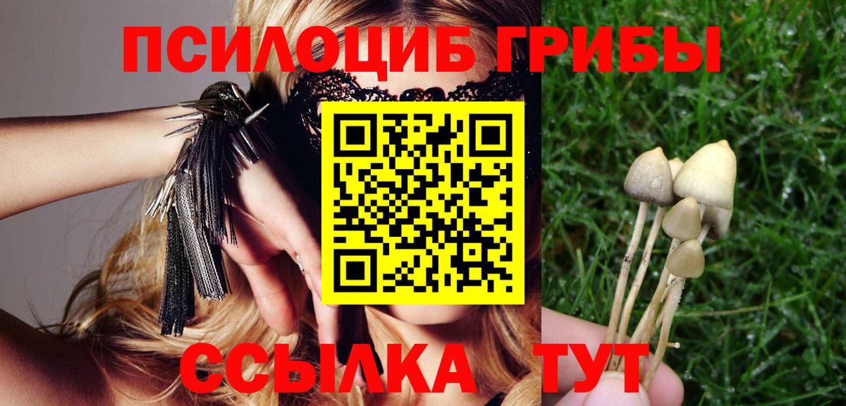 Галлюциногенные грибы прущие грибы  Вход с VPN  Биробиджан 